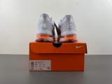 N*ike Pegasus Premium