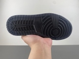 J*ordan 1  Low  555558-081