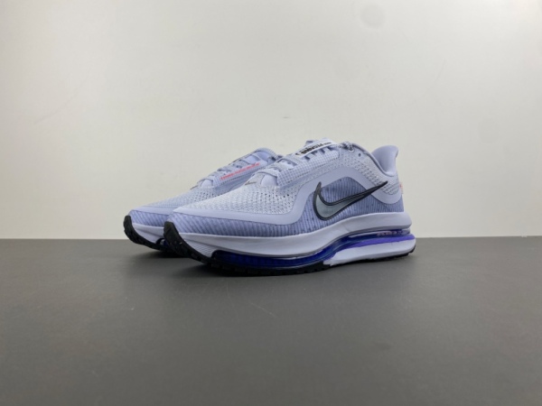 Pegasus Premium 'Persian Violet'  HQ2592-004