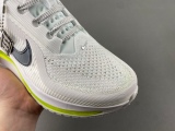 N*ike Pegasus Premium  HQ2592-100