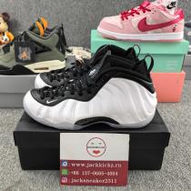 Air Foamposite One