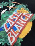 C*ASABLANCA  Top Quality Clothes