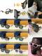 L*ouis V*uitton Glasses Top Quality
