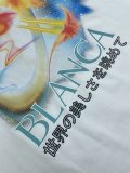 C*ASABLANCA  Top Quality Clothes