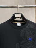 B*urberry  Top Quality Clothes