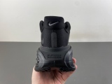 Pegasus Premium  FN8453-002