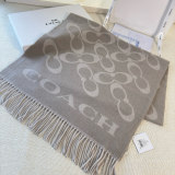 Scarf  53*195CM