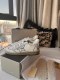 Men Women G*GDB Top Sneakers