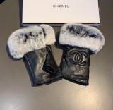 Top Gloves