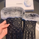 Top Gloves