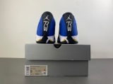 Air Jordan 14 Laney 487471-407