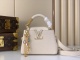 L*ouis V*uitton Top Bag 21*14*8 CM