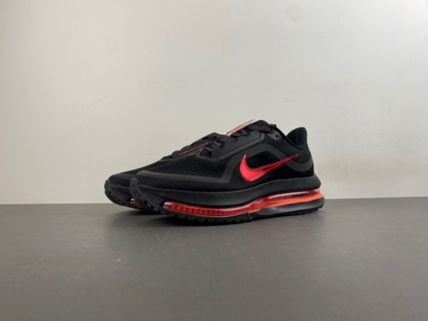 N*ike Pegasus Premium HQ2593-010