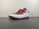 A*ir J*ordan 10 Retro 'Red Steel' 2005 310805-161