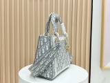 D*ior Bag Top Quality   24CM