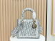 D*ior Bag Top Quality   24CM