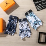 Underpants Top 3 Pieces