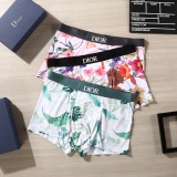 Underpants Top 3 Pieces