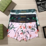 Underpants Top 3 Pieces