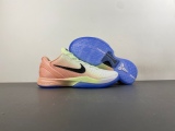 GNike Kobe 6  PE2026-100