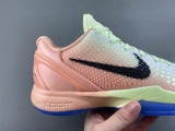 GNike Kobe 6  PE2026-100