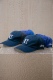 Top Quality Hat