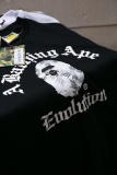 B*APE × E*VOLUTION Top Quality Clothes