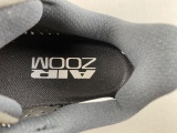 A*ir Zoom Pegasus Premium  HQ2592-005