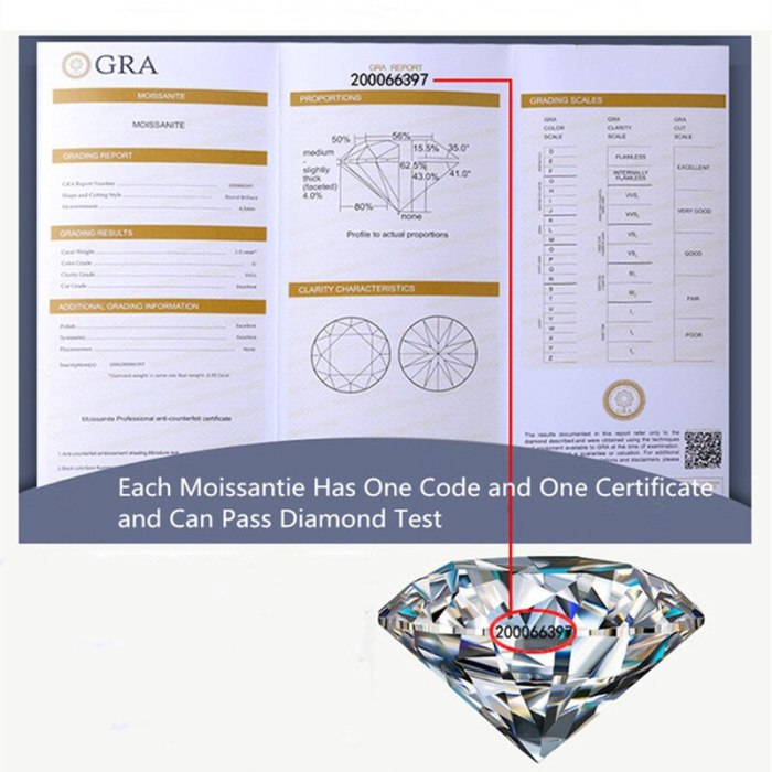 Geoki Passed Diamond Test Excellent Moissanite Snowflake Earrings 925 Sterling Silver Perfect Cut 0.5-1 ct Stone Stud Earrings