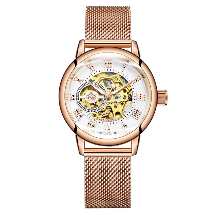 New Fashion Luxury Brand Skeleton Women Mechanical Watch Female Clock Automatic Mechanical Watches For Women Silver Montre Femme