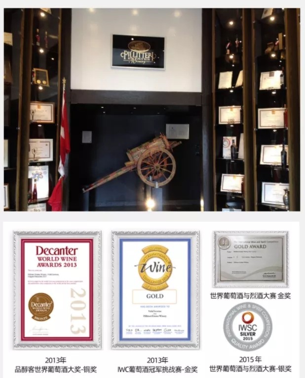 Canadian Ice Wine Manor original imported VQA Sweet White Wine Ice Red White Wine Gift Box