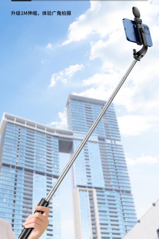 Selfie stick