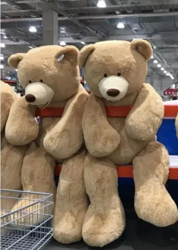 A package for birthday gift: a Big Size Teddy Bear & a Birthday Cake
