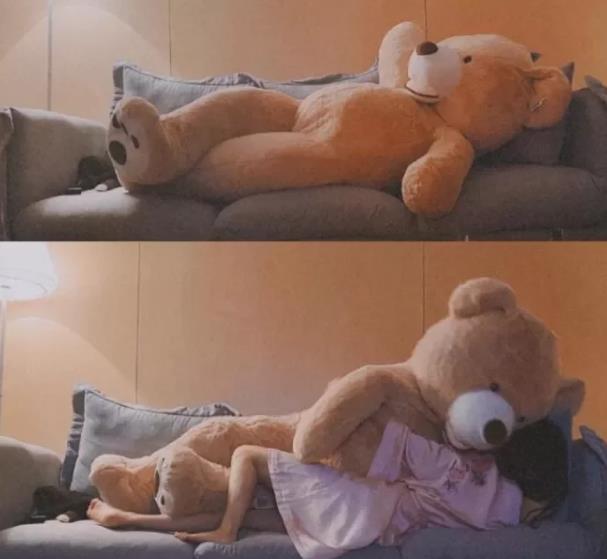 a Big Size Teddy Bear