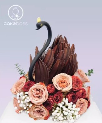 Black Swan Birthday Cake
