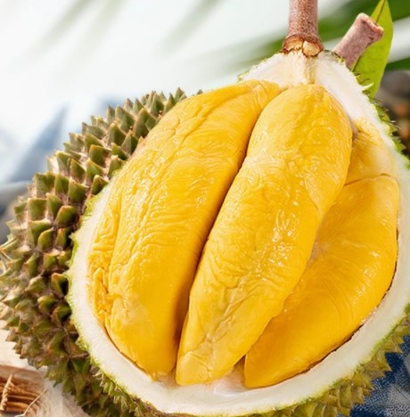 The King of Fruit World - Durian