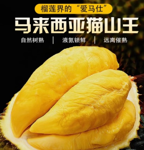 The King of Fruit World - Durian
