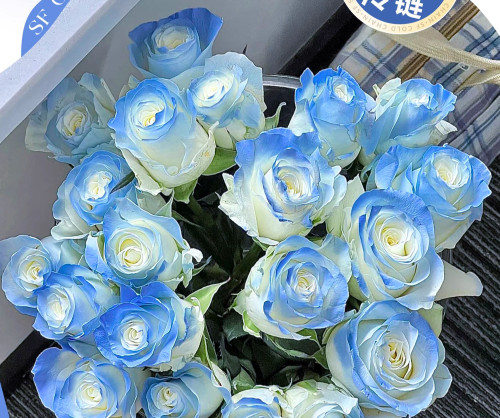 Custom 20 Blue Roses & 25 Chocolates Kit