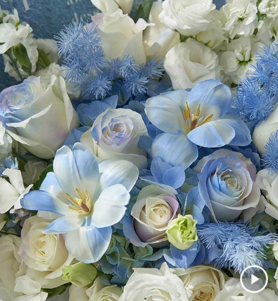 Zodiac Guardian Flowers  blue 