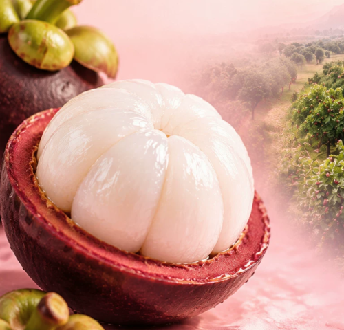 Mangosteen Cheese Ice-Pan Mooncake, Fruit Cheese Mooncake