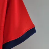 2022-23 England Away World Cup Fans Soccer Jersey