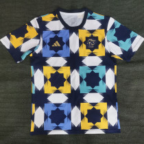 2022 Algeria Yellow Blue Training shirts (二星)