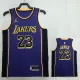 2022-23 LAKERS JAMES #23 Purple Top Quality Hot Pressing NBA Jersey (Trapeze Edition)