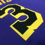 2022-23 LAKERS DAVIS #3 Purple Top Quality Hot Pressing NBA Jersey (Trapeze Edition)