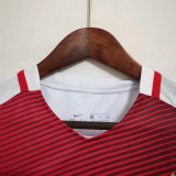2016-2017 Monaco Home Retro Soccer Jersey (联赛版)