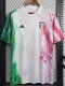 2023 Italy Green White Red Training shirts