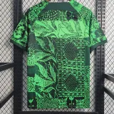 2022-23 Nigeria Home Fans Soccer Jersey