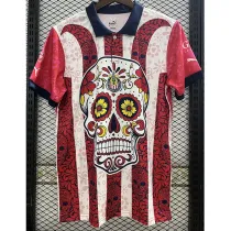 2023-24 Chivas Special Edition Fans Soccer Jersey
