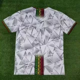 2023-24 Mali Home Fans Soccer Jersey