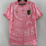 2023-24 Italy White Pink Concept Special Edition Training Shirts #ad